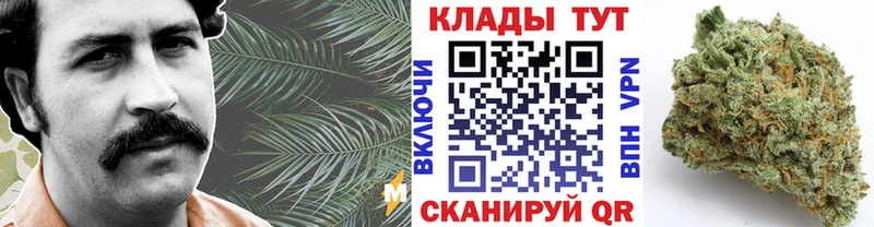 Где купить Смоленск Alpha-PVP  Меф  ГАШИШ  Псилоцибиновые грибы  МАРИХУАНА  Амфетамин 