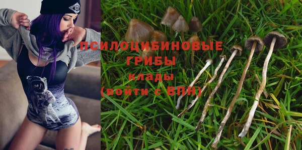 эйфоретик Гусь-Хрустальный