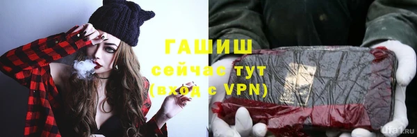 эйфоретик Гусь-Хрустальный
