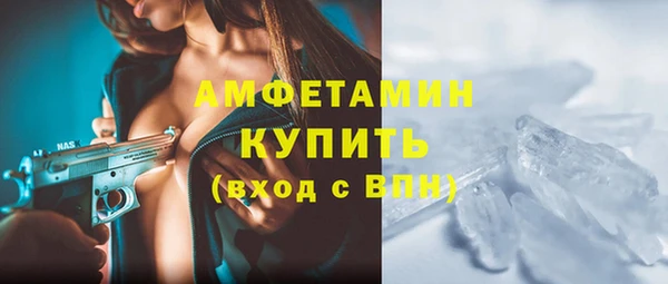 эйфоретик Гусь-Хрустальный