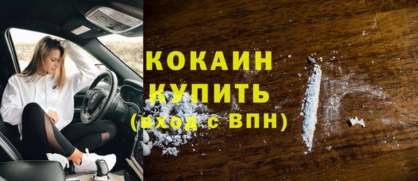 эйфоретик Гусь-Хрустальный
