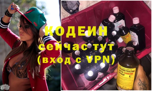 эйфоретик Гусь-Хрустальный