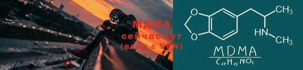эйфоретик Гусь-Хрустальный
