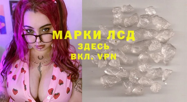 эйфоретик Гусь-Хрустальный